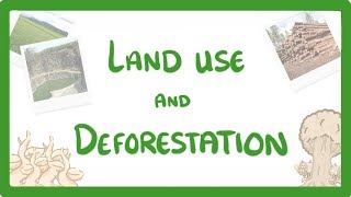 GCSE Biology  Land Use  Deforestation amp Peat Bogs 92 [upl. by Atiuqam975]