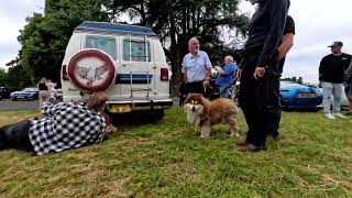 Chateau Impney Friends and their  Vehicles plus Stephen 🦊 [upl. by Tasia]