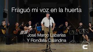 Fraguó mi voz en la huerta  José Marco Labarías y Rondalla Calandina  Jota Aragonesa en DIRECTO [upl. by Lalittah147]