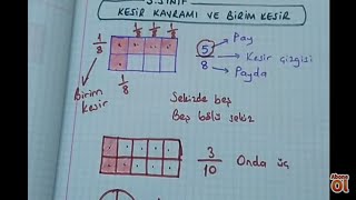 3sınıf matematik Kesir kavramı ve birim kesir Bulbulogretmen matematik kesirler [upl. by Laresa]