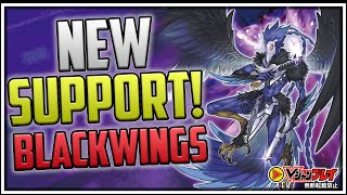 FINALLY NEW Blackwing Support Will it be Top Tier YuGiOh [upl. by Asta430]