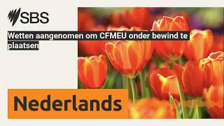 Wetten aangenomen om CFMEU onder bewind te plaatsen  SBS Dutch  SBS Nederlands [upl. by Quintana]