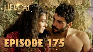 Hercai  Herjai Urdu  Episode 175 [upl. by Hannahs]