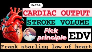 Cardiac output stroke volume human physiology edv frank starling law fick principle by mspatel [upl. by Donnamarie]