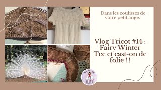 Vlog Tricot 14 S2  Fairy Winter Tee et caston de folie [upl. by Nahte243]