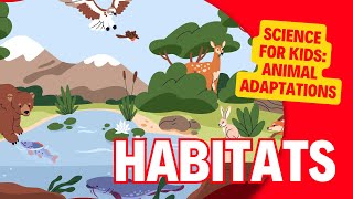 Animal Habitats  How do animals adapt to their habitat  Learn about Forests Deserts Ponds etc [upl. by Bikales]