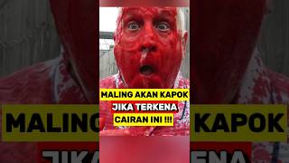 Maling Akan Kapok Jika Di Semprot Dengan Cairan ini‼️ [upl. by Sutphin208]