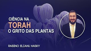 Ciência na Torá O Grito das Plantas [upl. by Pinzler]