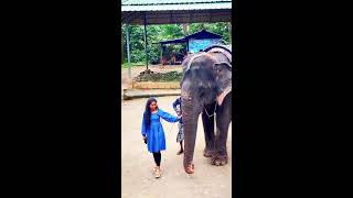 😍🐘❤️ Elephant ride experience in an Elephant camp 💗 Kerala 💖 India [upl. by Haziza]