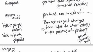 LowTech Gen Biology 1  classes of biological chemicals and biuret test [upl. by Cyndie]