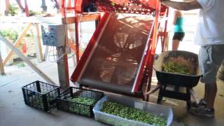 Small Scale Hop Harvester  Bine 3060 [upl. by Lucio765]