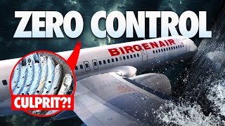 NO ONE Was Ready for THIS What Really Happened To Birgenair Flight 301 [upl. by Dane]