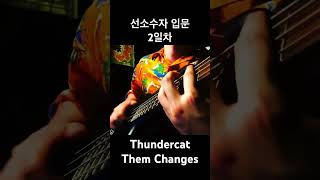 ThundercatThem ChangesBegginer’s Cover bass thundercat 선소수자 [upl. by Ilan728]