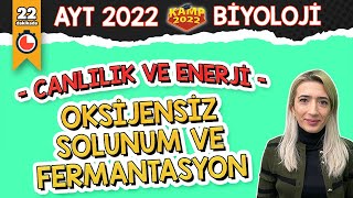 Oksijensiz Solunum ve Fermantasyon  AYT Biyoloji Kamp2022 [upl. by Salas]