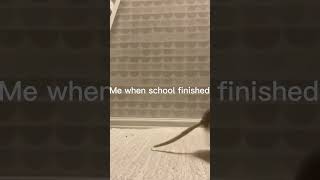 ME WHEN SCHOOL FINISHED  funny funnyshorts school schoolmemes [upl. by Noramac]