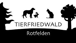 Tierfriedwald Rotfelden Nordschwarzwald  Tierfriedhof  Pet cemetery im Mai 2024 [upl. by Micco366]