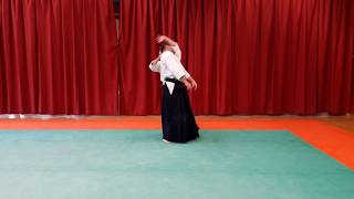 Tachi waza Ai hanmi katate dori Irimi nage [upl. by Haines]