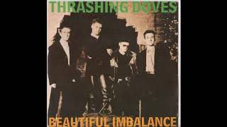 Beautiful Imbalance by Thrashing Doves [upl. by Shank]