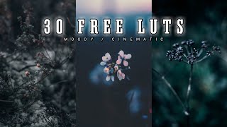 30 Free Cinematic Luts  Moody Luts Vn  Vn Luts  Cinematic Color Grading on Mobile [upl. by Sotos]