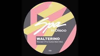 Walterino  Wonder  the dukes main mix  Mrz2024 [upl. by Ynos]