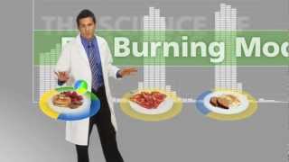 The Food Lovers Fat Loss System  Explained [upl. by Server708]