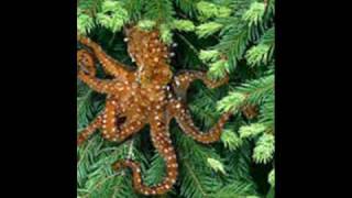 Save the Tree Octopus [upl. by Glynias]