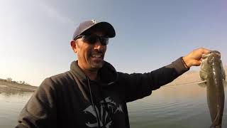 Lahontan Reservoir Largemouth Bass catch and release 92020 [upl. by Santa507]