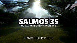 SALMOS 35 narrado completoNTV reflexconvicentearcilalope5407 biblia dios salmos reflex [upl. by Daisi]