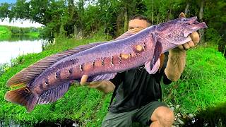 Snakehead Fishing [upl. by Kihtrak]