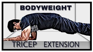 BODYWEIGHT TRICEP EXTENSION  Calisthenics Tutorial [upl. by Anyak]