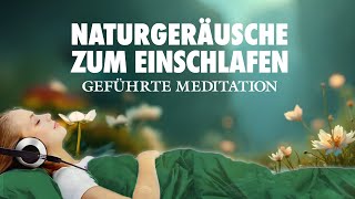 Einschlafen mit Naturgeräuschen  Geführte Meditation zum Einschlafen [upl. by Ortensia822]