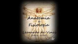 Estudos Anatômicos de Leonardo Da Vinci [upl. by Novanod323]