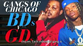 The Evolution of Gang Culture in Chicago From Past to Present [upl. by Maighdlin]