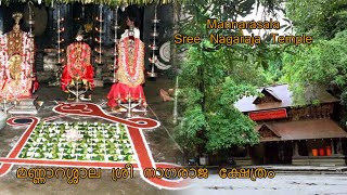 മണ്ണാറശ്ശാല ശ്രീ നാഗരാജ ക്ഷേത്രംMannarasala Sree Nagaraja Temple PAVANAN T V [upl. by Gnot]