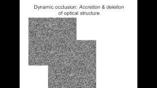 PJ Treffner  Occlusion demos Accretion and deletion [upl. by Naziaf]