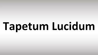 How to Pronounce Tapetum Lucidum [upl. by Sayed]