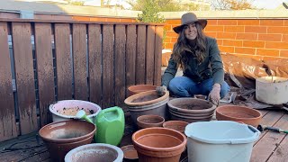 Cleaning amp Storing My Pots Over Winter  Container Gardening Tips [upl. by Eirruc761]