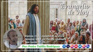 Reflexión del Evangelio  Viernes 15 de noviembre de 2024 [upl. by Stockmon544]