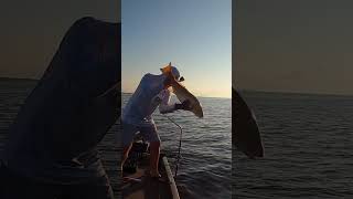 Early Morning Redfish Release 🎣 [upl. by Burkitt124]