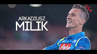 Arkadiusz Milik  THE REBIRTH  Goals Skills amp Assists SSC Napoli 201819 HD [upl. by Horner351]