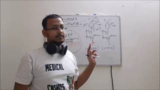 Biochemistry Discussion  NADPHNADH Difference Explained need of both amp Structural Analysis [upl. by Arvad]