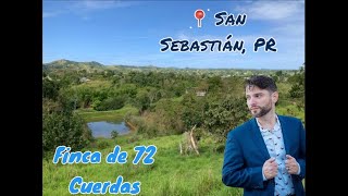 Se vende Finca en San Sebastian Puerto Rico 72 cuerdas de frente al Rio [upl. by Kcirrem]