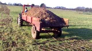 Massey Ferguson 35x shifting muck [upl. by Kalfas392]