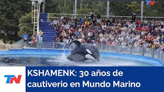 KSHAMENK 30 años de cautiverio en Mundo Marino [upl. by Idelson]