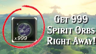 How to Get 999 Spirit Orbs in Minutes in Zelda Breath of the Wild [upl. by Nesline]