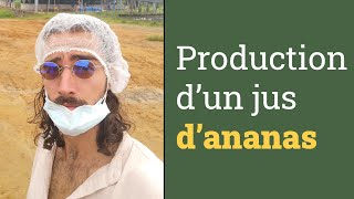 PRODUCTION industrielle d’un JUS d’ANANAS du CAMEROUN  Reportage amp Vlog [upl. by Neehsas]