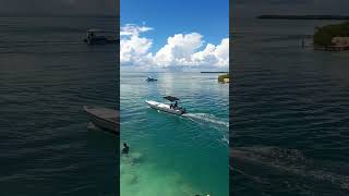 Beautiful Caye Caulker travel shorts cayecaulker belize travelvlog [upl. by Havot868]