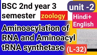 Bsc 2nd year 3semster zoology topic Aminoacylation of RNA and Aminoacyl tRNA synthetase [upl. by Antonino]