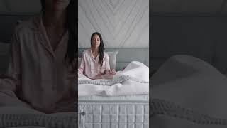 Shop Aireloom at Denver Mattress and find the perfect sleep night after night [upl. by Aztiray]