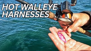 HOT walleye BITE Walleye fishing TIPS and TECHNIQUES [upl. by Wilterdink]